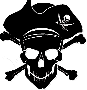 wsp logo